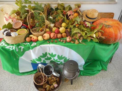 Alguns produtos da nossa horta e pomar que usamos para fazer compotas e outras atividades de culinária.